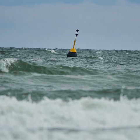 Kappeln Weidefelder Strand Sturmtag