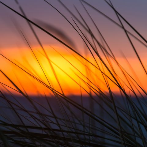 Sonnenaufgang an der Schlei