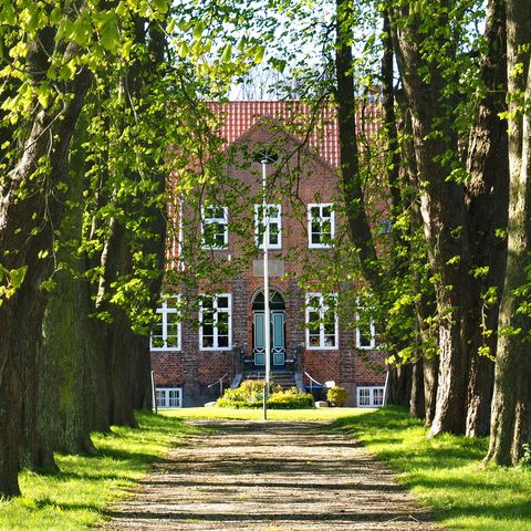 Allee in Winnemark