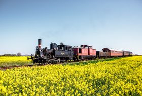 Angelner Dampfeisenbahn an der Schlei