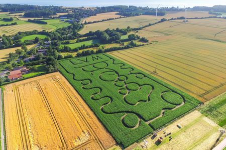 Maislabyrinth Gut Oestergaard an der Ostsee