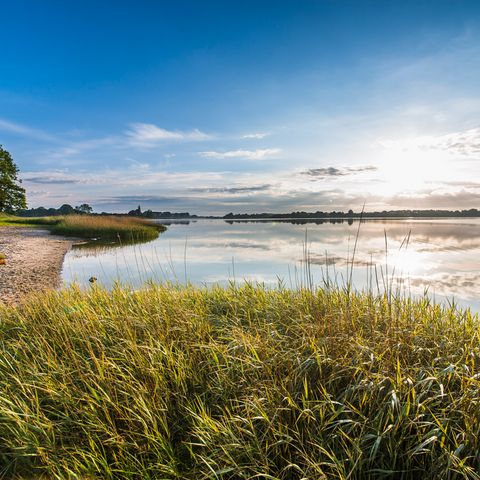 Ulsnisstrand an der Schlei