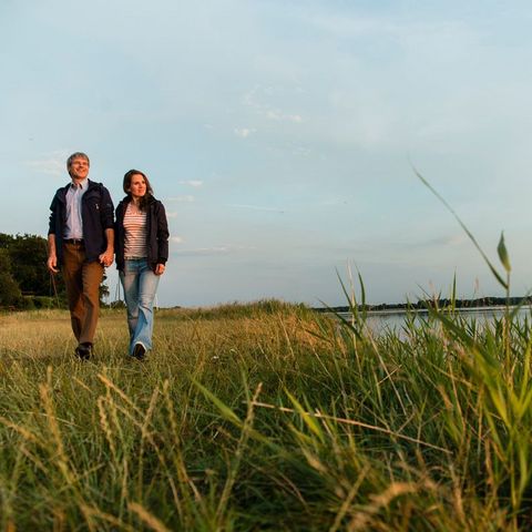 Wandern am Haddebyer Noor an der Schlei