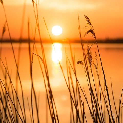 Sonnenaufgang in Weseby