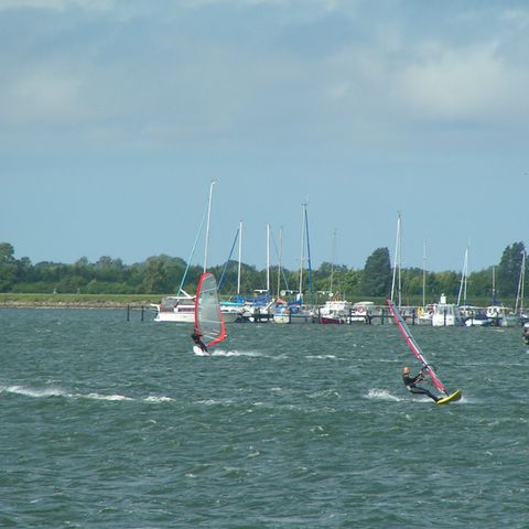 Surfergruppe auf der Schlei in Maasholm