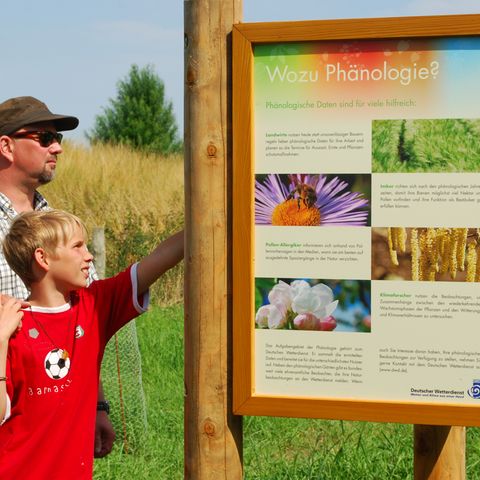 Infotafel über Phänologie am Naturerlebniszentrum Maasholm