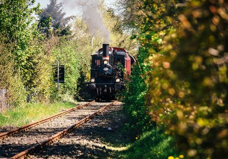 Angelner Dampfeisenbahn