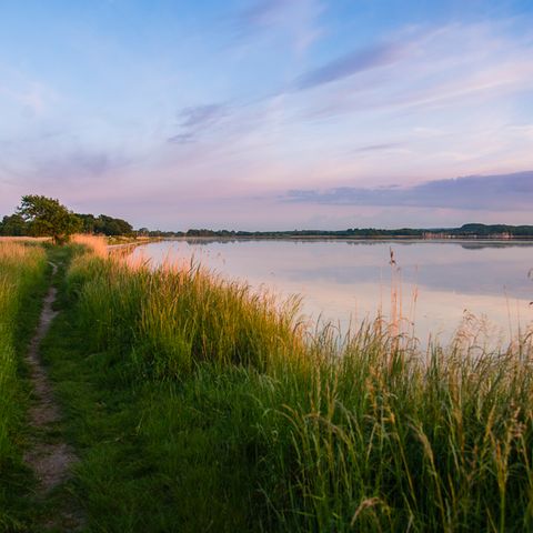 Spazierweg in Weseby