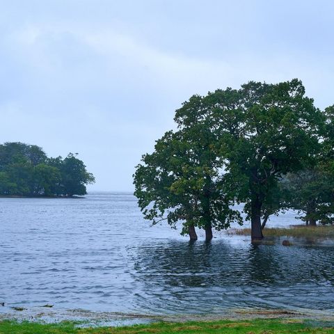 Kappeln Weidefelder Strand Sturmflut 2023