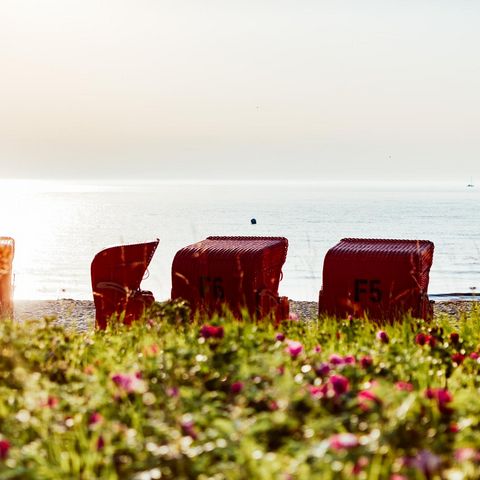 Schönhagen Strandkörbe am Strand