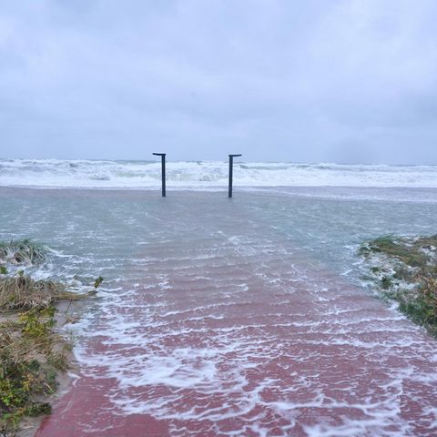 Kappeln Weidefelder Strand Sturmflut 2023 Strandeingang