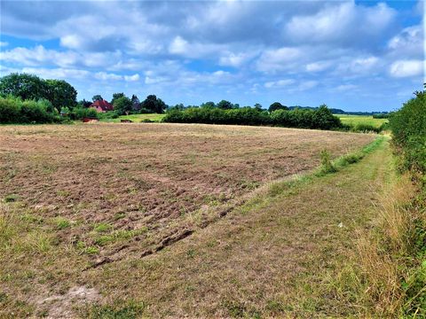 Aufforstungsprojekt an Schlei und Ostsee Fläche