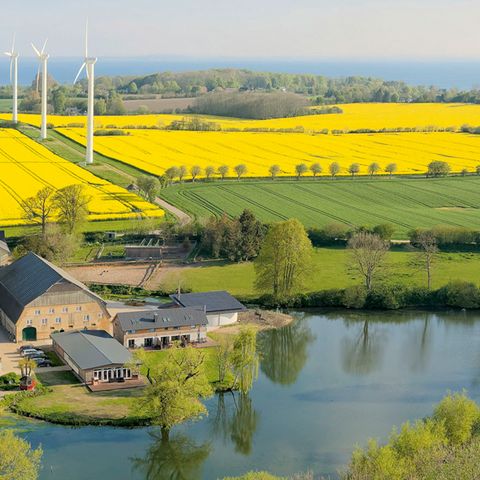 Gut Oestergaard an der Geltinger Bucht