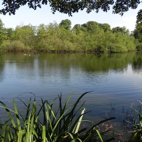 Thorsberger Moor mit Wasserblick