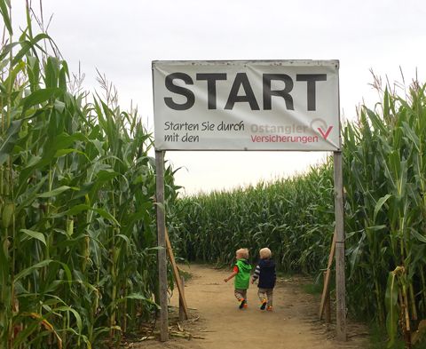 Kleine Kinder im Maislabyrinth Gut Oestergaard