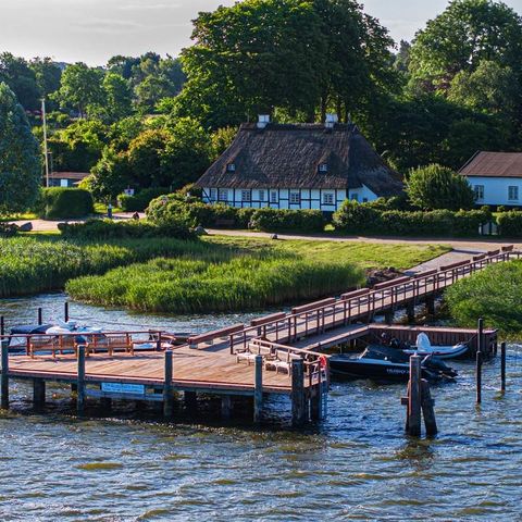 Neuer Schleianleger Sieseby Nahaufnahme