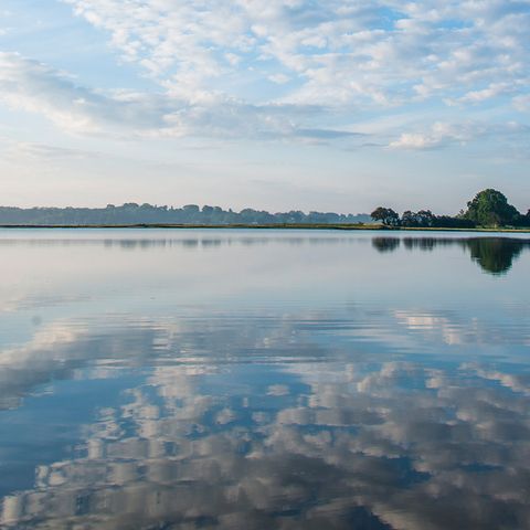 Blick auf die Schlei in Ulsnis