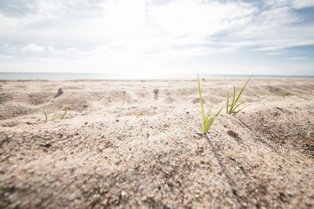 Ostseestrand an der Geltinger Bucht