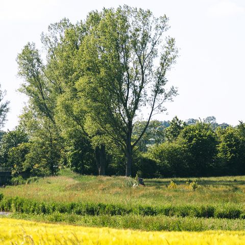 Kronsgaard an der Geltinger Bucht