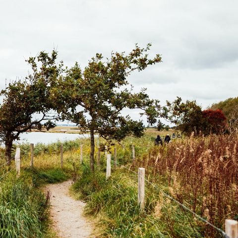 Geltinger Birk Fußweg durch die Felder