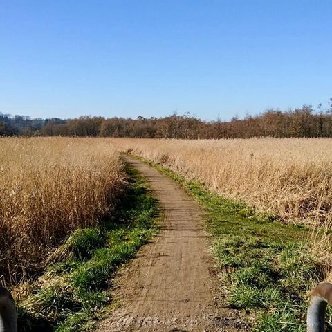 Fleckeby Wanderweg