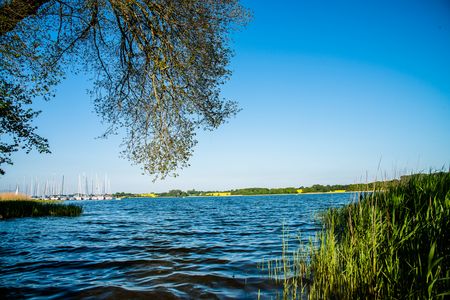 Blick auf die Schlei bei Lindaunis