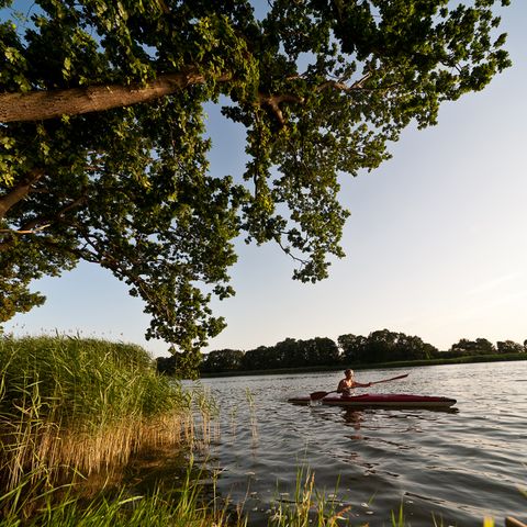 Kanu fahren auf der Schlei in Lindaunis