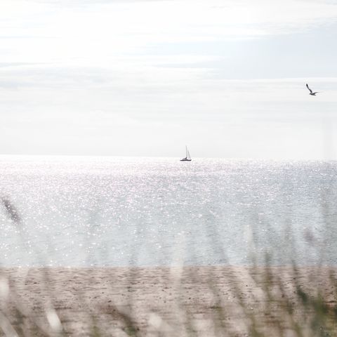 Segelboot und Möwe auf der Ostsee Totale