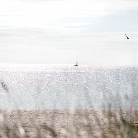 Segelboot und Möwe auf der Ostsee Totale