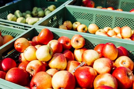 Regionale Produkte Wochenmarkt Äpfel