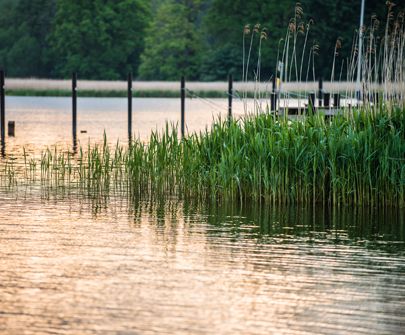 Schaalby an der Schlei