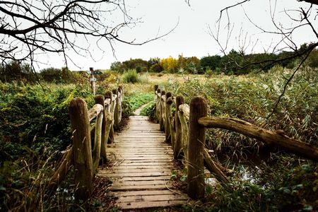 Geltinger Birk zwischen Feldern und Wiesen