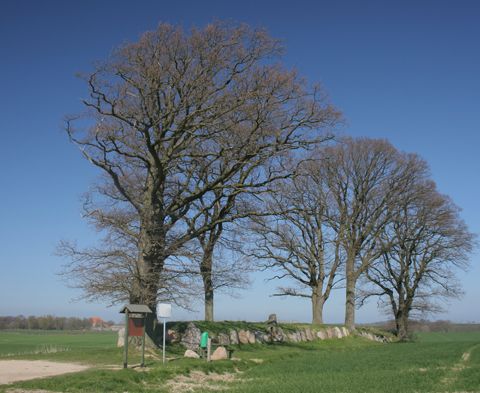 Langbett von Karlsminde