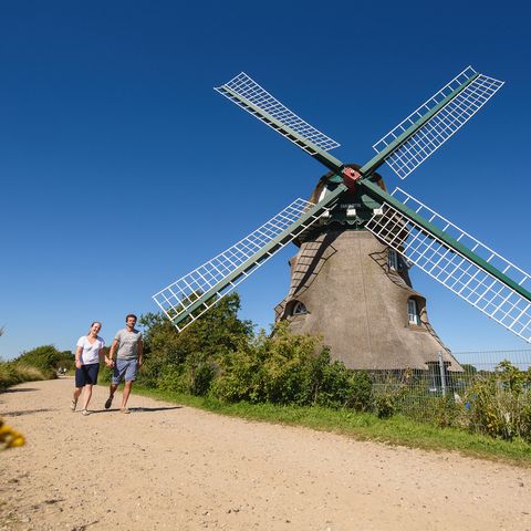 Mühle Charlotte in Nieby