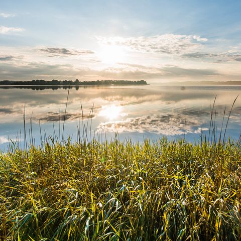 Strand in Ulsnis an der Schlei