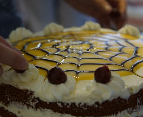 Torte im Café Lindauhof in Boren