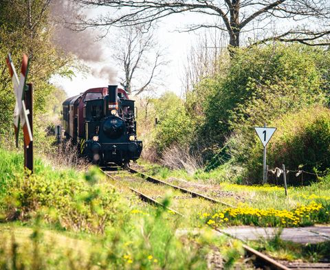 Angelner Dampfeisenbahn