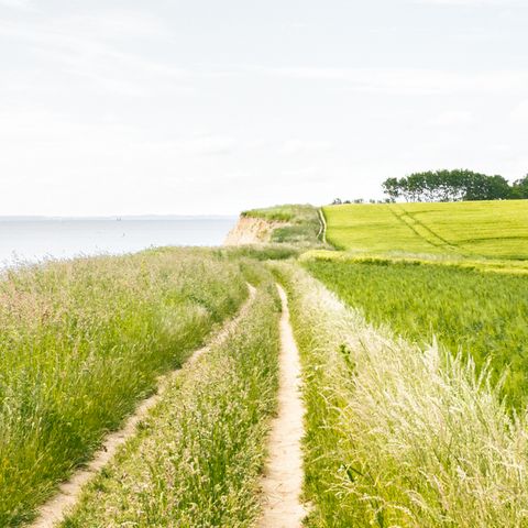 Wanderweg an der Ostsee