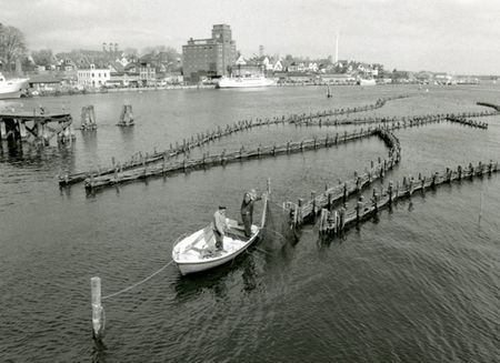 Fischerei am Heringzaun in Kappeln an der Schlei