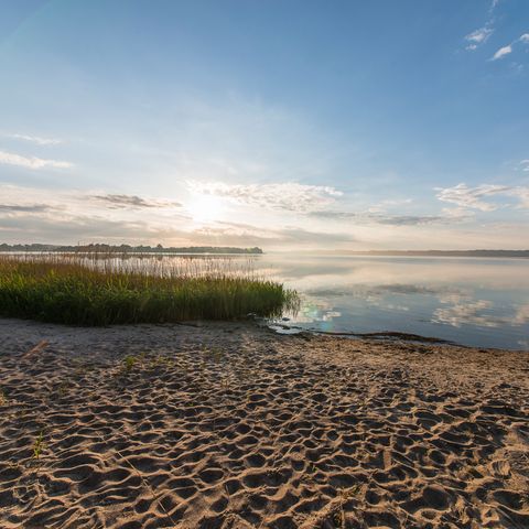 Strand in Ulsnis