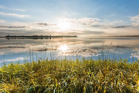 Blick auf die Schlei in Ulsnis