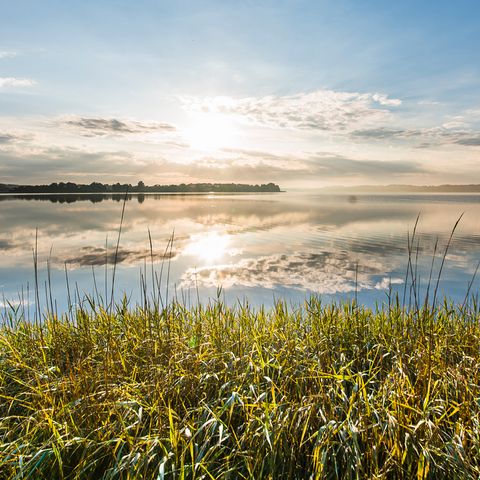 Blick auf die Schlei in Ulsnis