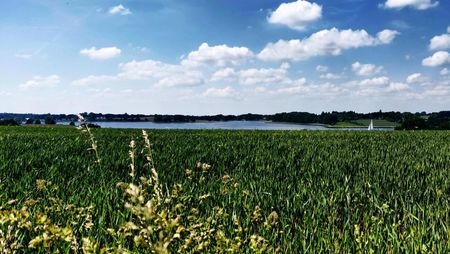 Blick auf die Schlei in Kosel-Bohnert