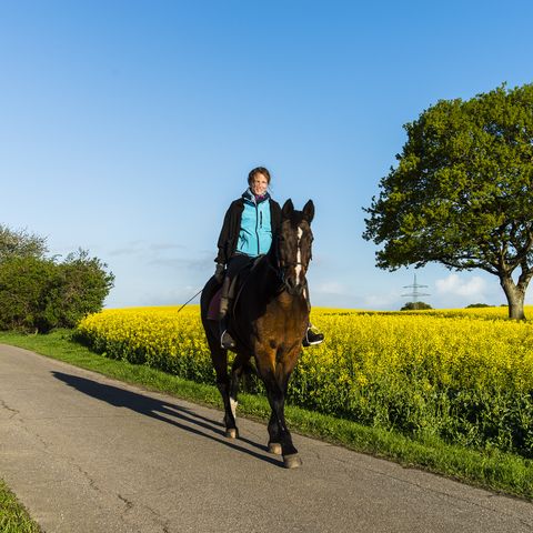 Reiturlaub Ausritt im Raps