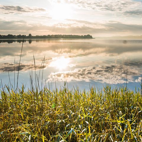 Strand in Ulsnis an der Schlei