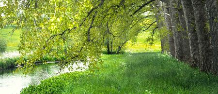 Waldstück an der Schlei