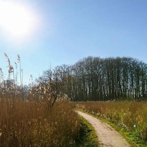 Fleckeby Wanderweg Panorama