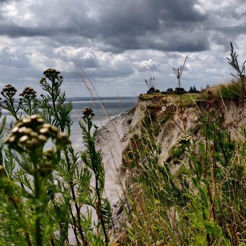 Schönhagen Spazierrunde Steilküste