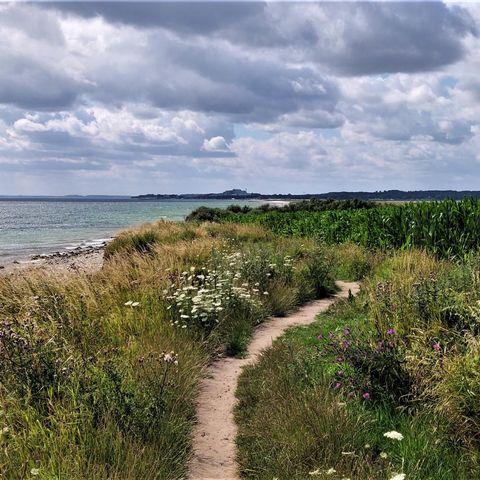 Schönhagen Spazierrunde Weg zum Schwansener See