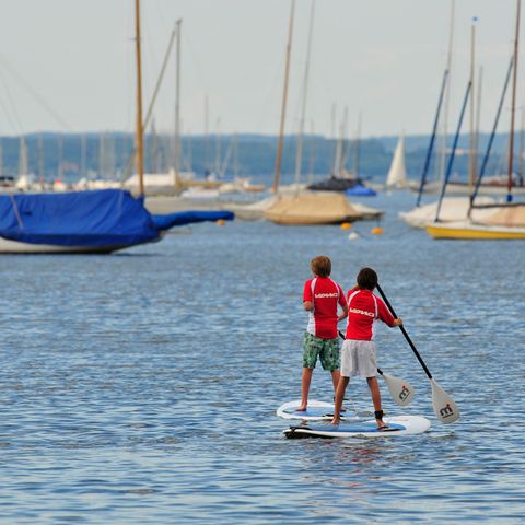 Stand Up Paddling auf der Schlei in Maasholm